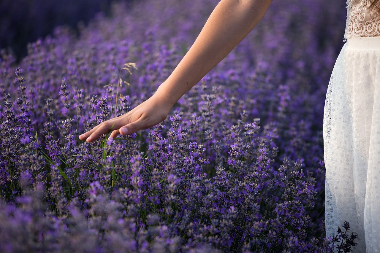 How to Incorporate Sustainable Gardening into City Life?